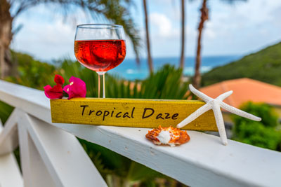 Tropical Daze - private pool luxury villa with sea views